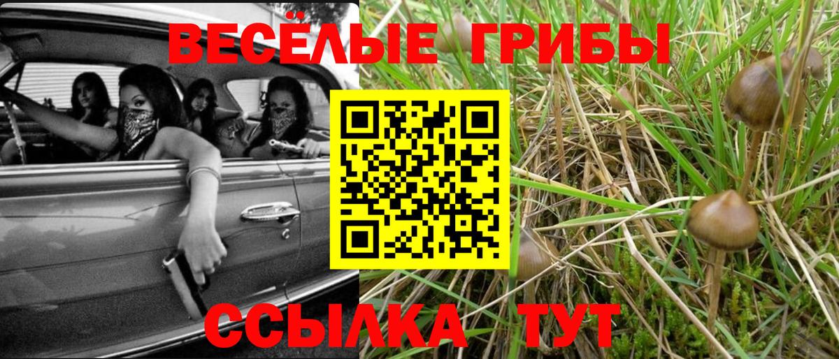 Галлюциногенные грибы Magic Shrooms  Вход с VPN  Псилоцибиновые грибы мухоморы  Рубцовск 