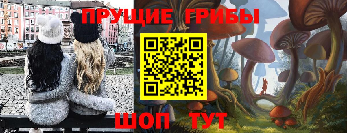 Псилоцибиновые грибы Magic Shrooms Рубцовск